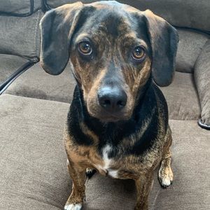 Meet your Posher, Ethan